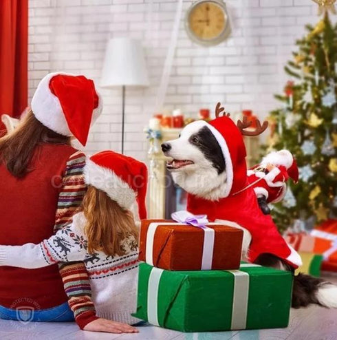 deguisement pere noel costume chien habit vetement tenue sapin